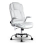 DailyStretch-Artiss-8-Point-Massage-Office-Chair-Front-View-PU-Leat